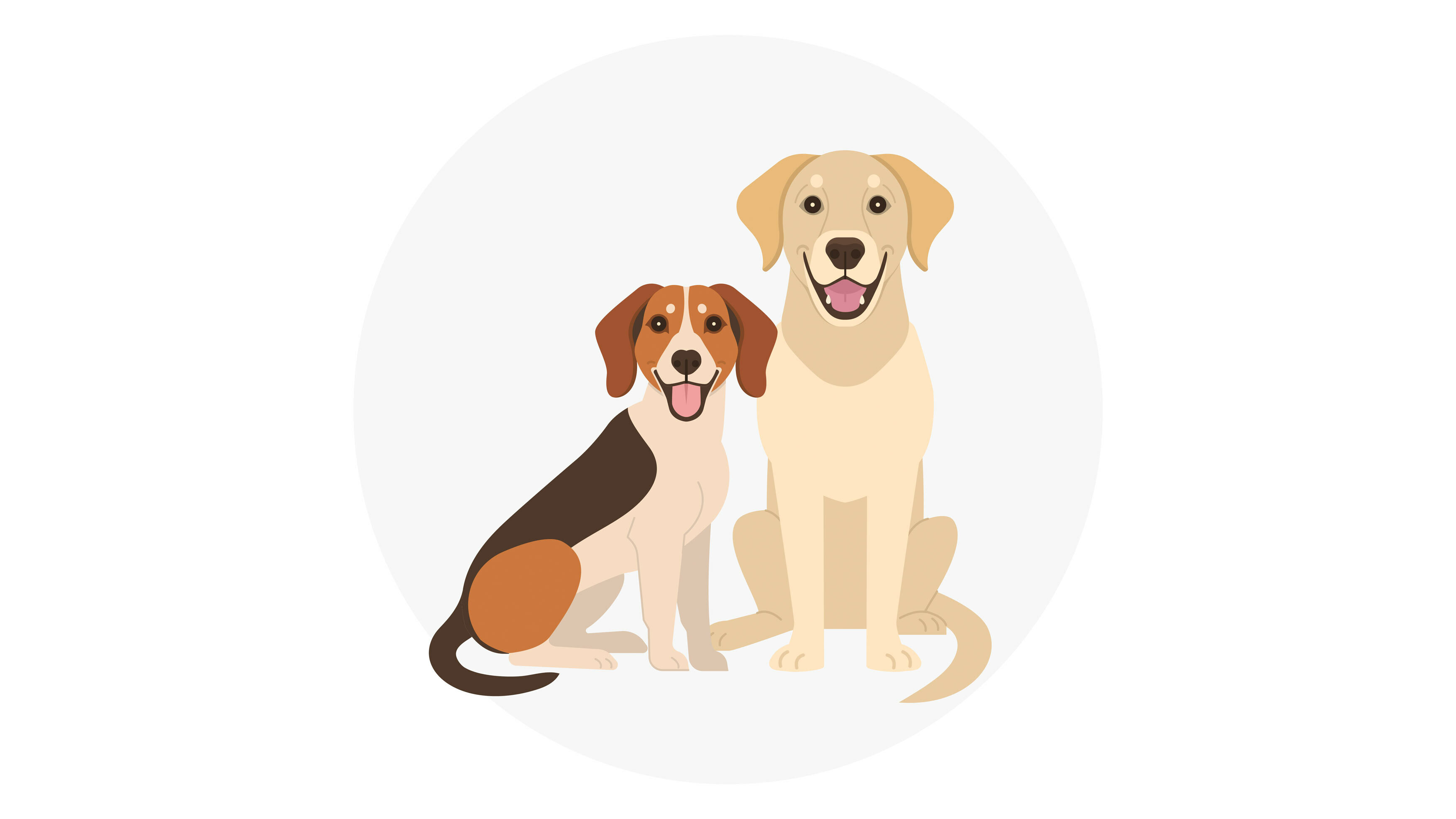 Benefits Dogs 16 9